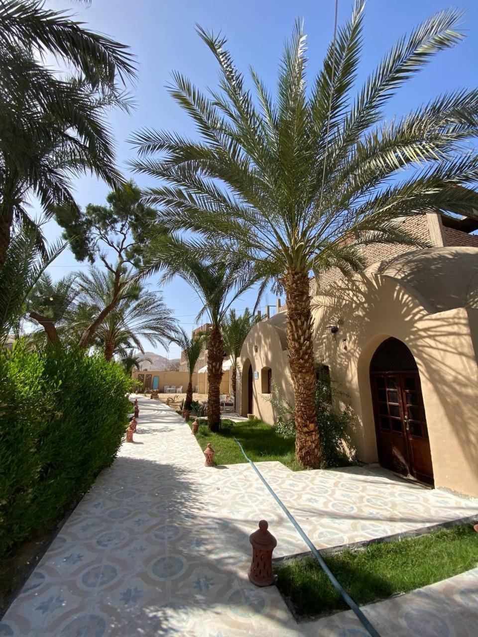 Hotel Sekhmet Retreat Centre Luxor Exterior foto